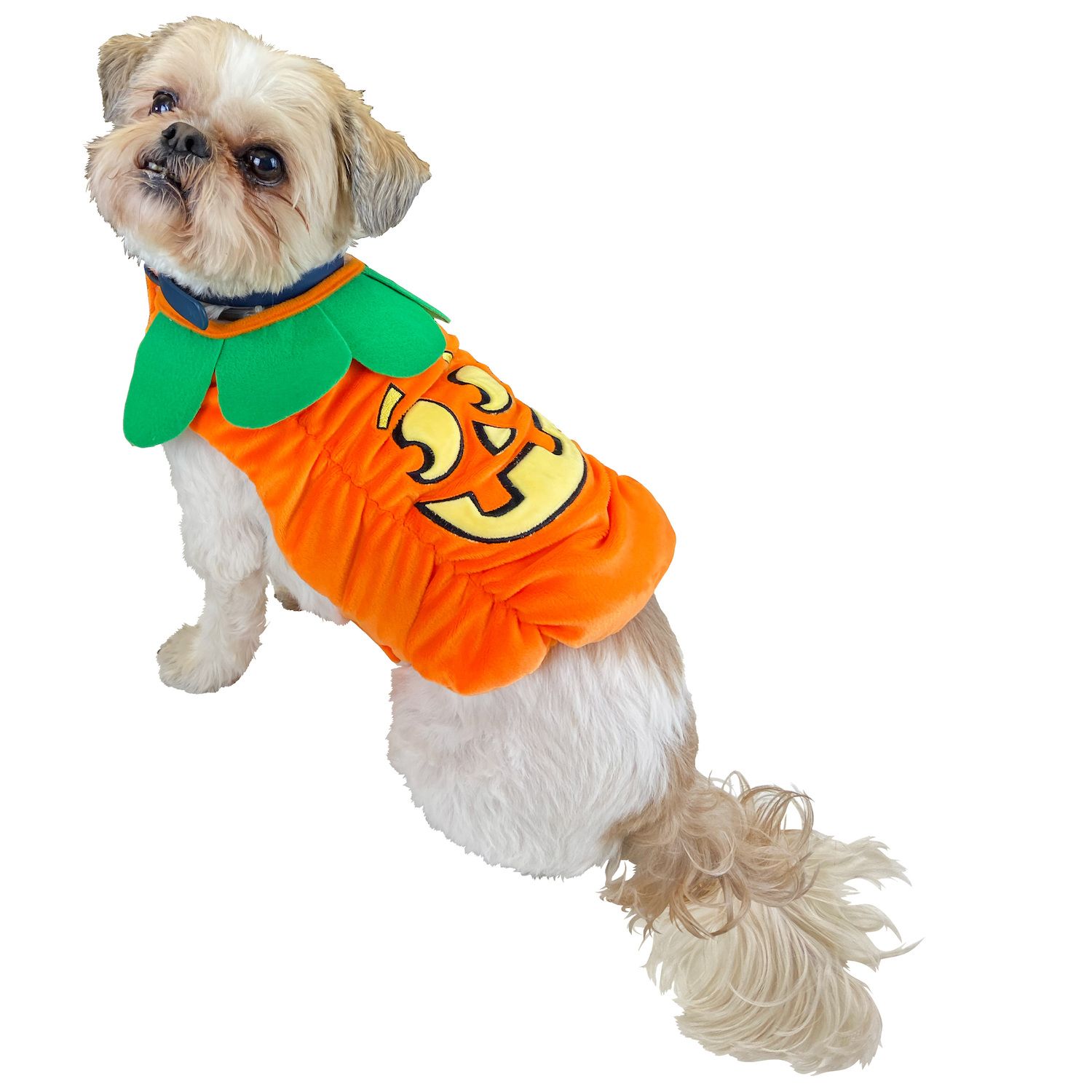 Woof Jack-O'-Lantern Pumpkin Dog Costume